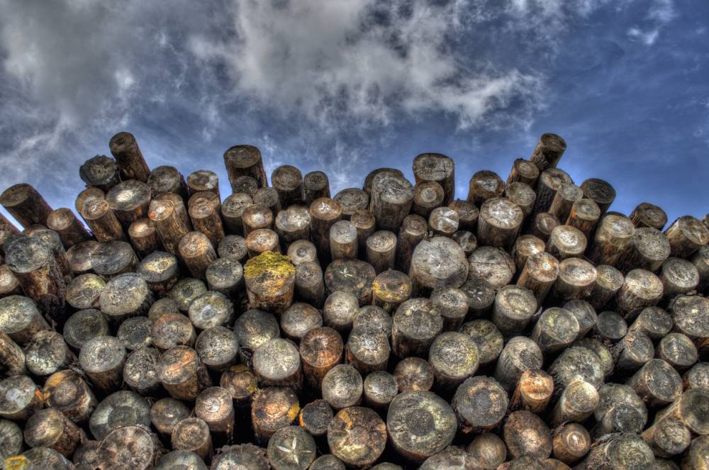 Pourquoi choisir une chaudière bois pour votre Maison ?
